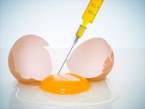 Syringe entering the yolk of an egg.