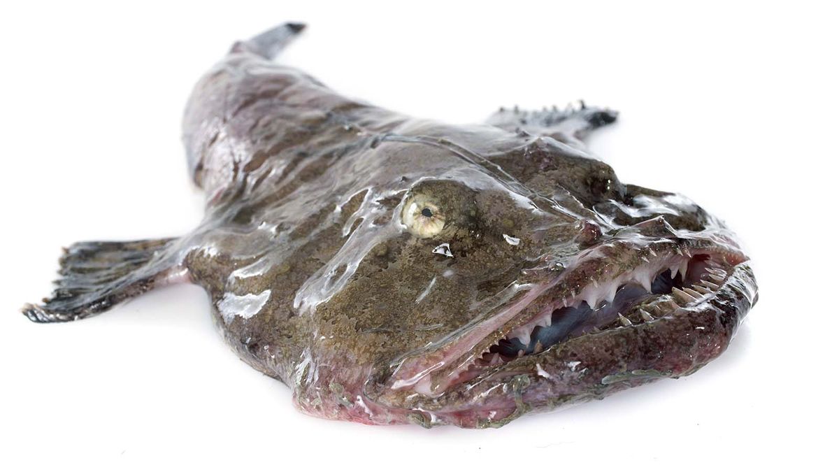 Man Wearing a Fish Mask with Sharp Teeth