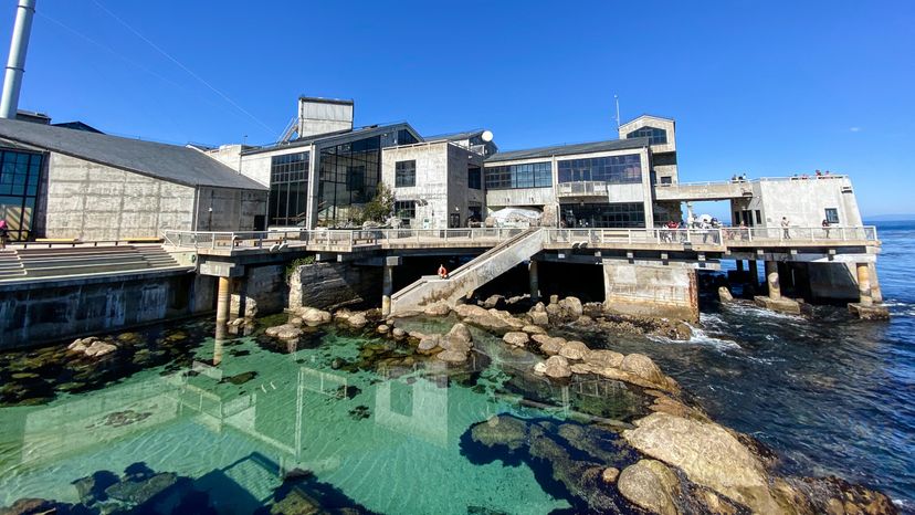 monterey bay aquarium (monterey bay,ca)