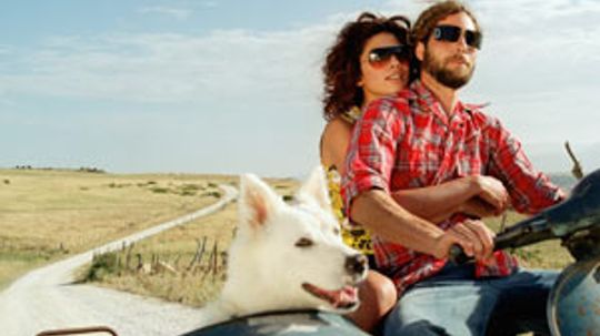 Motorcycle Pet Traveling Guide