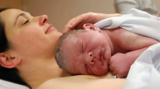 Why Women Don't Lick Their Babies Clean After Childbirth