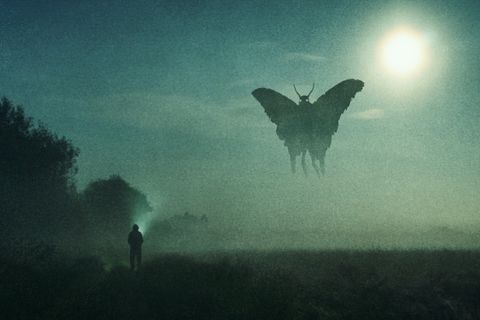 Mothman Mysteries: A Look at the West Virginia Cryptid - Vimarsana News