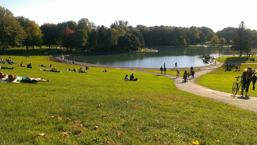 Mount Royal Park	