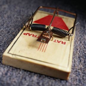 Close-up of a mousetrap