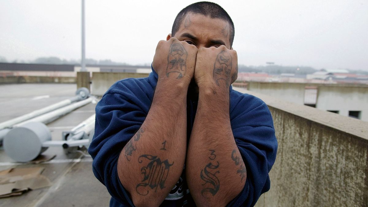 Gang Signs - Mara Salvatrucha