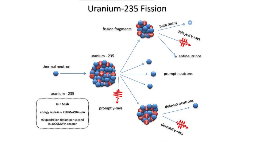 Neutron fission reaction