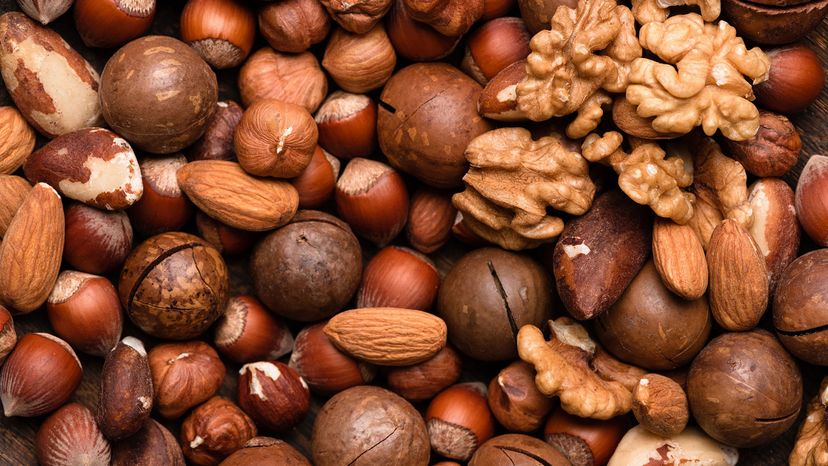 Can You Crack This Nuts Quiz?