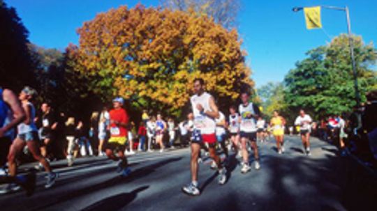 How the NYC Marathon Works