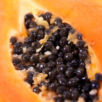 papaya fruit