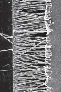 This is a microscopic look at one of the processes used to grow ZnO nanowires. The nanowires are in the middle, growing from a chromium electrode on the left toward a gold electrode on the right.