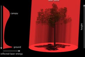 LIDAR instruments measure tree height by bouncing laser light off the tree canopy; they also measure movements in the Earth's crusts.