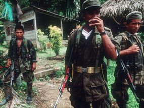 1999年7月，哥伦比亚革命武装力量(FARC)游击队在哥伦比亚和巴拿马边境附近巡逻。＂border=