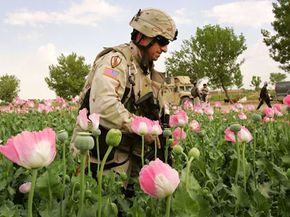 2006年，一名美军士兵涉水穿过世界鸦片种植之都阿富汗赫尔曼德省的罂粟田。＂border=