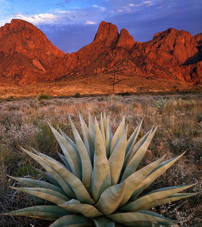 big bend national park