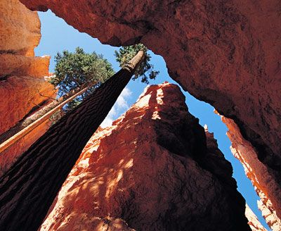 bryce canyon national park