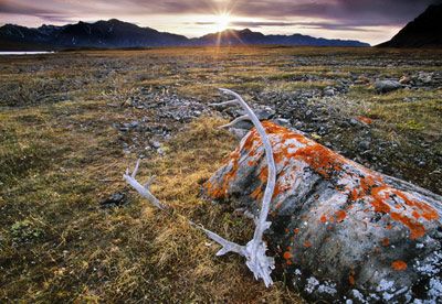 gates of the arctic national park