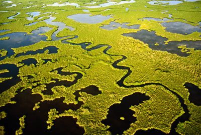 everglades national park