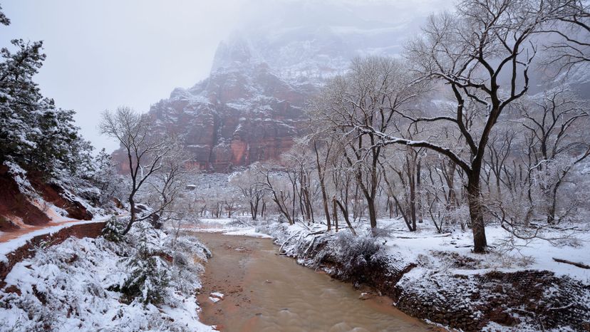 Virgin River, Red Arch Mountains, Zion National Park