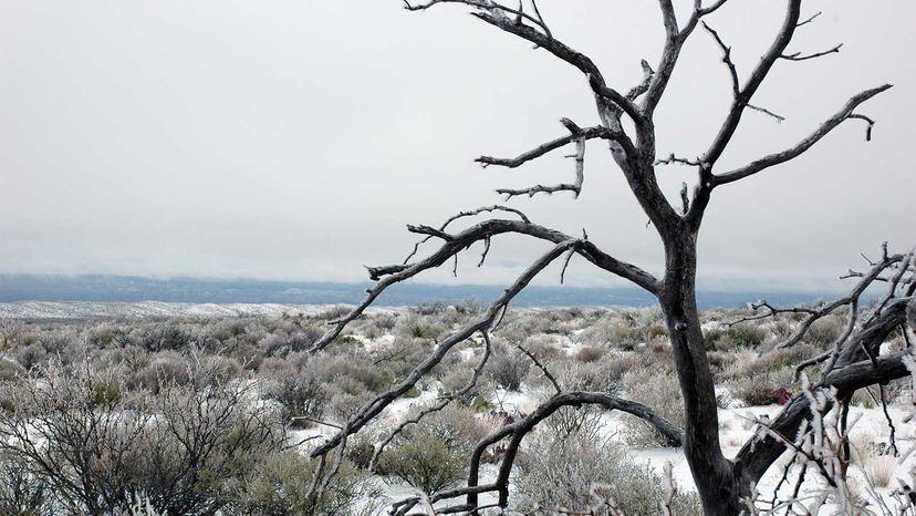 Big Bend National Park