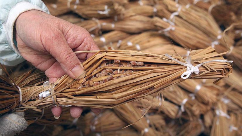 Natto in rice straw