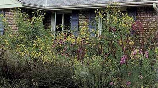 Natural Garden Ideas