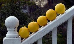 Lemons are just one of many natural exfoliants that you can find at your neighborhood supermarket.