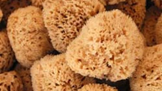 Quick Tips: Natural Sea Sponges and Your Skin