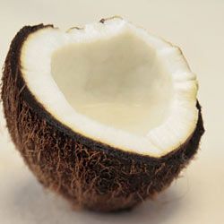 coconuts