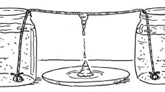 Nature Activities for Kids