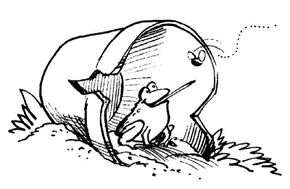 Toad Shelter Nature Experiment