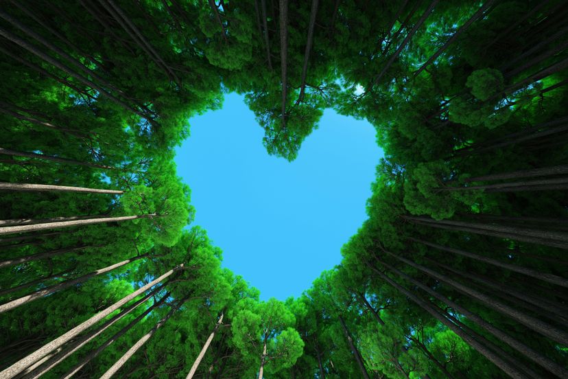 Digital generated image of tall trees forming heart shape against blue sky. Sustainability concept.