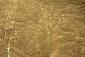 You're looking at an aerial view of a hummingbird, one of the most well-preserved figures (305 feet or 93 meters long) of the  Nazca lines.