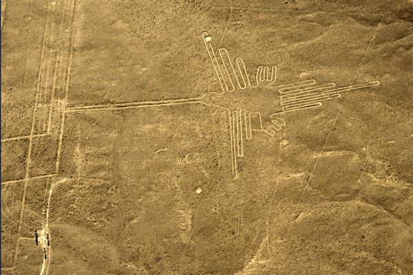 Hummingbird Nazca Lines