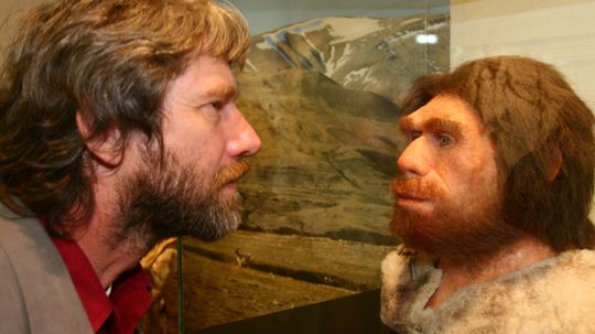 Why did Neanderthals become extinct?
