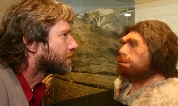 A museum visitor looks at a reconstruction of a Neanderthal.