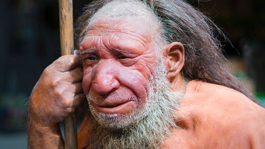 Humans Didn't Outsmart Neanderthals, We Just Outlasted Them