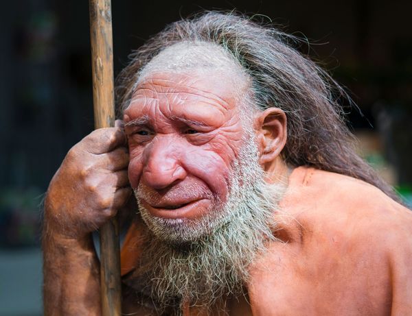 Neanderthal man