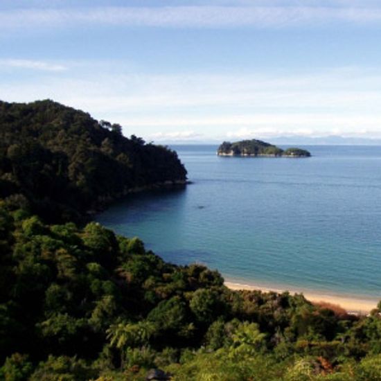 Ultimate Guide to the Nelson Wine Region
