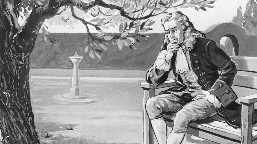 Sir Isaac Newton contemplates the force of gravity under an apple tree