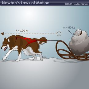 One dog pulling a sled, illustrating f = ma