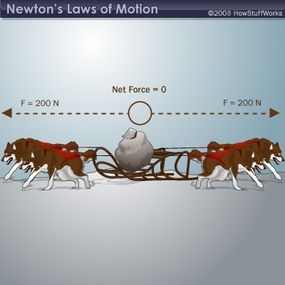 Four dogs pulling a sled, illustrating the f = ma equation