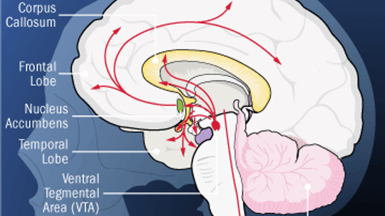 What is the neurochemistry of happiness?