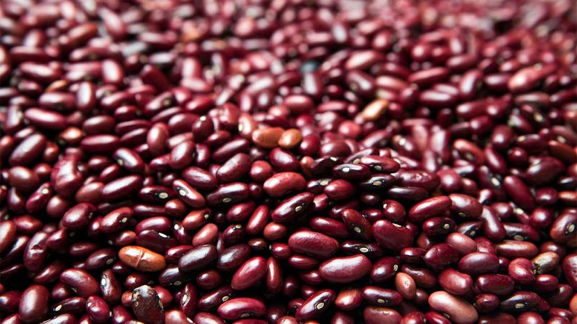 kidney beans