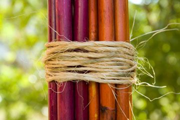 Bundle of bamboo