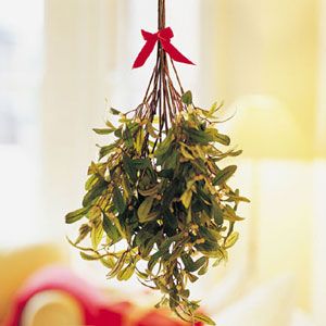 Mistletoe in doorway