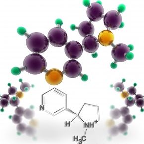 On a molecular level, nicotine is made up of carbon, hydrogen, nitrogen and sometimes oxygen.