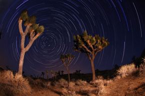 Joshua Tree National Park in Utah is a very popular night hiking (and night photography) spot.