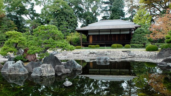 Nature's beauty in a pond and tree outdoors.