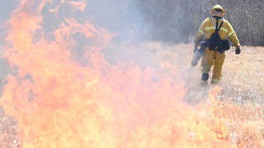 New Jersey's Pinelands Are Ripe for an Australia-type Wildfire