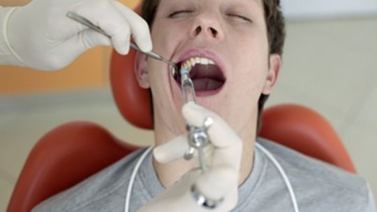 Are people without wisdom teeth more highly evolved?